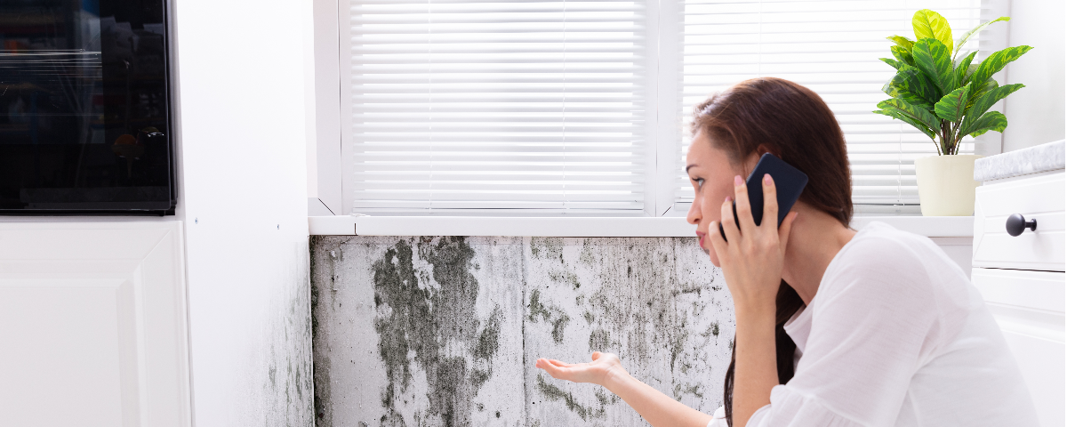 Aprenda como tirar mofo e umidade da parede e deixe-a com cara de nova outra vez